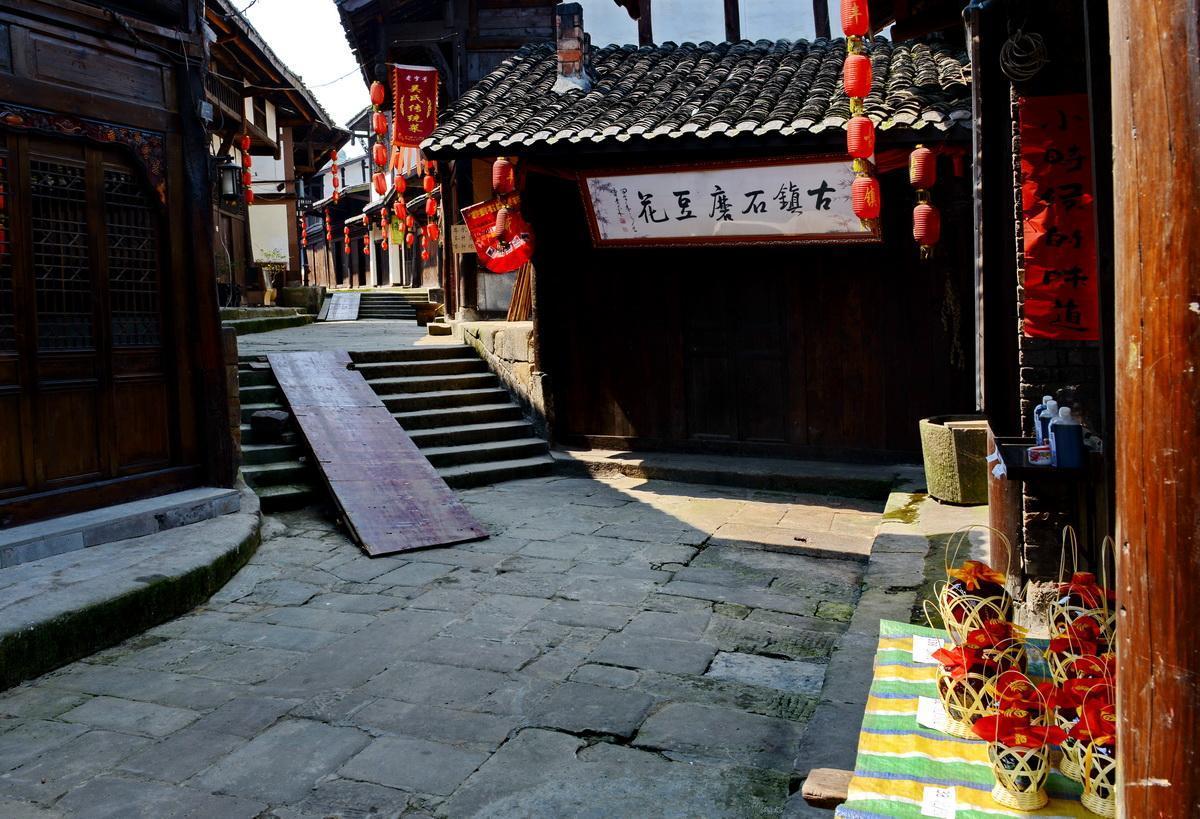 寻找迷路的松鼠